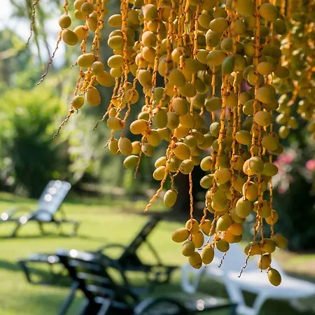 Szálloda Calbis Dalyan